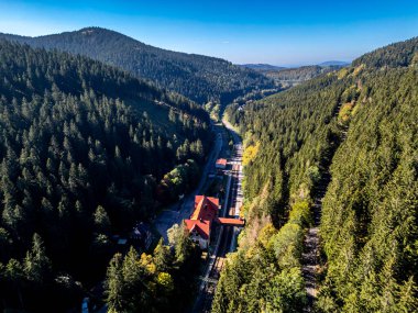 Thüringen Ormanı 'nda Zella-Mehlis ve Oberhof arasında Sternengrund' da güzel bir sonbahar yürüyüşü.