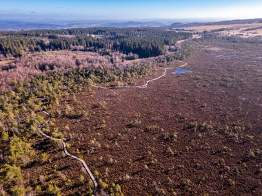 Thüringen, Hesse ve Bavyera - Fladungen - Rhn - Almanya arasındaki eski sınır boyunca güzel güneşli bir günde kısa kış yürüyüşü