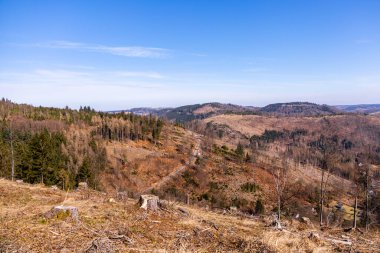 Steinach-Thüringen yakınlarındaki güzel Thüringen Ormanı 'nda bahar yürüyüşü.
