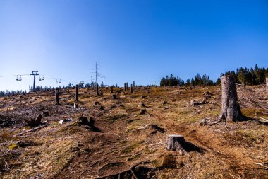 Steinach-Thüringen yakınlarındaki güzel Thüringen Ormanı 'nda bahar yürüyüşü.