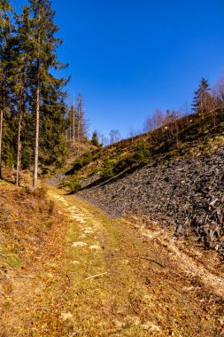 Steinach-Thüringen yakınlarındaki güzel Thüringen Ormanı 'nda bahar yürüyüşü.