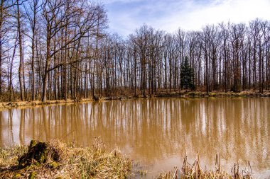 Hildburghausen - Thüringen - Almanya 'nın güzel Heldburger Diyarı' nda harika bir bahar yürüyüşü.