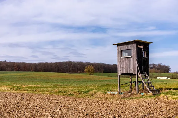 Hildburghausen - Thüringen - Almanya 'nın güzel Heldburger Diyarı' nda harika bir bahar yürüyüşü.