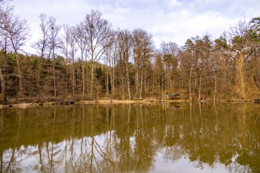 Hildburghausen - Thüringen - Almanya 'nın güzel Heldburger Diyarı' nda harika bir bahar yürüyüşü.