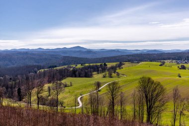 Saksonya - Almanya 'da Saksonya - Saksonya - Kirnitzschtal Vadisi' nde bahar yürüyüşü
