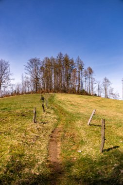 Saksonya - Almanya 'da Saksonya - Saksonya - Kirnitzschtal Vadisi' nde bahar yürüyüşü
