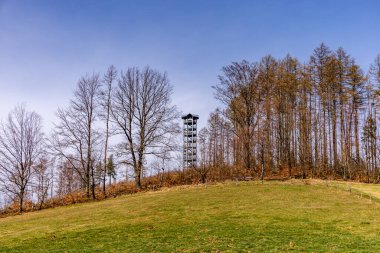 Saksonya - Almanya 'da Saksonya - Saksonya - Kirnitzschtal Vadisi' nde bahar yürüyüşü