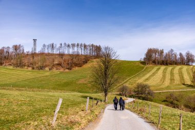 Saksonya - Almanya 'da Saksonya - Saksonya - Kirnitzschtal Vadisi' nde bahar yürüyüşü