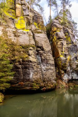 Saksonya - Almanya 'da Saksonya - Saksonya - Kirnitzschtal Vadisi' nde bahar yürüyüşü