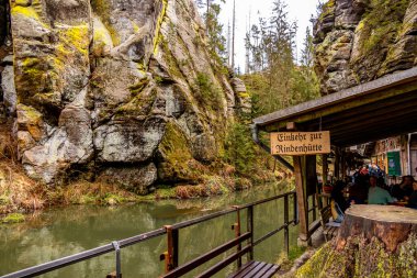 Saksonya - Almanya 'da Saksonya - Saksonya - Kirnitzschtal Vadisi' nde bahar yürüyüşü