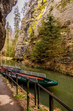 Saksonya - Almanya 'da Saksonya - Saksonya - Kirnitzschtal Vadisi' nde bahar yürüyüşü