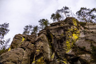 Saksonya - Almanya 'da Saksonya - Saksonya - Kirnitzschtal Vadisi' nde bahar yürüyüşü