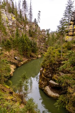 Saksonya - Almanya 'da Saksonya - Saksonya - Kirnitzschtal Vadisi' nde bahar yürüyüşü