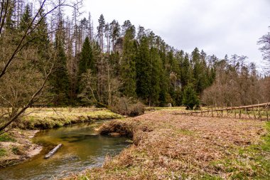 Saksonya - Almanya 'da Saksonya - Saksonya - Kirnitzschtal Vadisi' nde bahar yürüyüşü