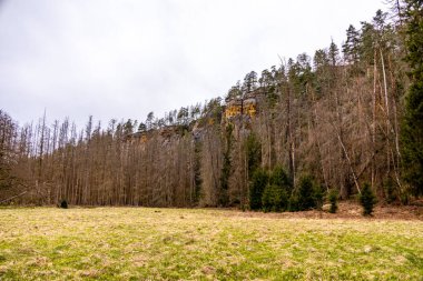 Saksonya - Almanya 'da Saksonya - Saksonya - Kirnitzschtal Vadisi' nde bahar yürüyüşü