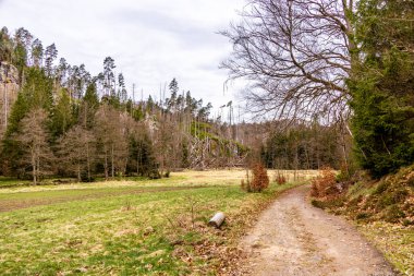 Saksonya - Almanya 'da Saksonya - Saksonya - Kirnitzschtal Vadisi' nde bahar yürüyüşü