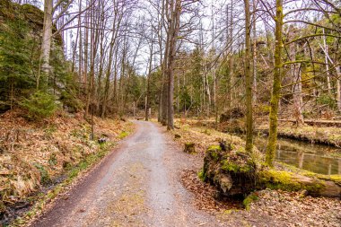 Saksonya - Almanya 'da Saksonya - Saksonya - Kirnitzschtal Vadisi' nde bahar yürüyüşü