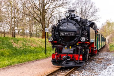 Dresden-Saksonya yakınlarındaki Moritzburg 'un güzel peri masalı şatosunda kısa bir mola.