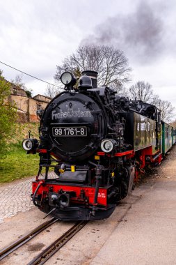 Dresden-Saksonya yakınlarındaki Moritzburg 'un güzel peri masalı şatosunda kısa bir mola.