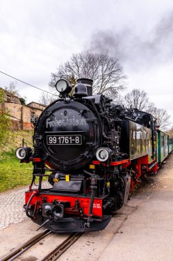 Dresden-Saksonya yakınlarındaki Moritzburg 'un güzel peri masalı şatosunda kısa bir mola.