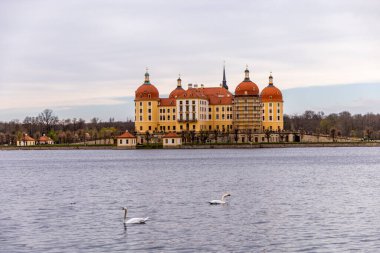 Dresden-Saksonya yakınlarındaki Moritzburg 'un güzel peri masalı şatosunda kısa bir mola.