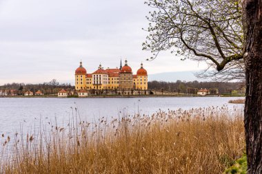 Dresden-Saksonya yakınlarındaki Moritzburg 'un güzel peri masalı şatosunda kısa bir mola.