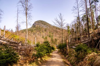 Hirschmhle 'den Saxon İsviçre' deki Carola Kayası 'na bahar yürüyüşü - Schmilka - Saksonya - Almanya