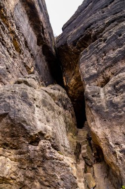 Hirschmhle 'den Saxon İsviçre' deki Carola Kayası 'na bahar yürüyüşü - Schmilka - Saksonya - Almanya