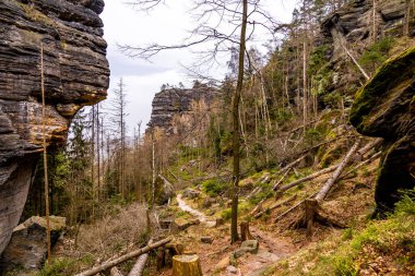 Hirschmhle 'den Saxon İsviçre' deki Carola Kayası 'na bahar yürüyüşü - Schmilka - Saksonya - Almanya