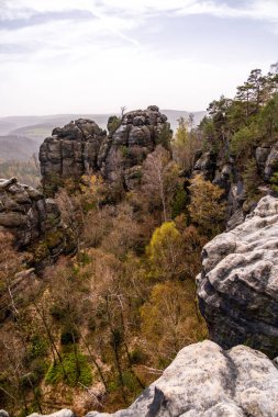 Hirschmhle 'den Saxon İsviçre' deki Carola Kayası 'na bahar yürüyüşü - Schmilka - Saksonya - Almanya