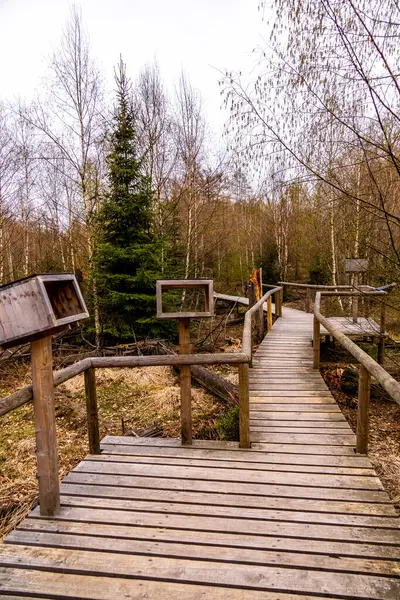 stock image A springtime hiking tour via the Hirschmhle to the Carola Rock in Saxon Switzerland - Schmilka - Saxony - Germany