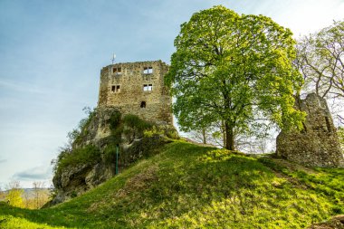 Bad Liebenstein 'dan Rennsteig' e kısa bir yürüyüş turu, muhteşem güneş ışığı altında Altenstein Park 'taki bahar uyanışı da dahil - Thüringen - Almanya