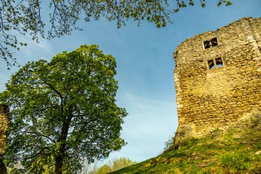 Bad Liebenstein 'dan Rennsteig' e kısa bir yürüyüş turu, muhteşem güneş ışığı altında Altenstein Park 'taki bahar uyanışı da dahil - Thüringen - Almanya