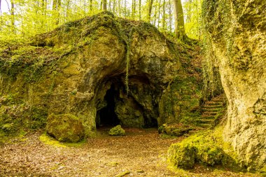 Bad Liebenstein 'dan Rennsteig' e kısa bir yürüyüş turu, muhteşem güneş ışığı altında Altenstein Park 'taki bahar uyanışı da dahil - Thüringen - Almanya