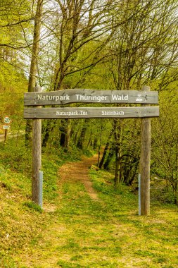 Bad Liebenstein 'dan Rennsteig' e kısa bir yürüyüş turu, muhteşem güneş ışığı altında Altenstein Park 'taki bahar uyanışı da dahil - Thüringen - Almanya