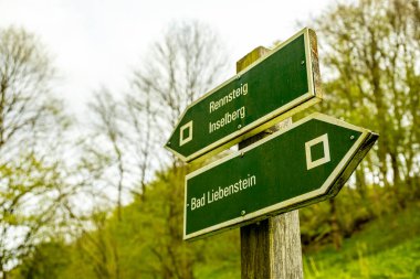 Bad Liebenstein 'dan Rennsteig' e kısa bir yürüyüş turu, muhteşem güneş ışığı altında Altenstein Park 'taki bahar uyanışı da dahil - Thüringen - Almanya