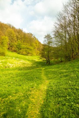 Bad Liebenstein 'dan Rennsteig' e kısa bir yürüyüş turu, muhteşem güneş ışığı altında Altenstein Park 'taki bahar uyanışı da dahil - Thüringen - Almanya