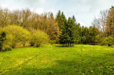 Bad Liebenstein 'dan Rennsteig' e kısa bir yürüyüş turu, muhteşem güneş ışığı altında Altenstein Park 'taki bahar uyanışı da dahil - Thüringen - Almanya