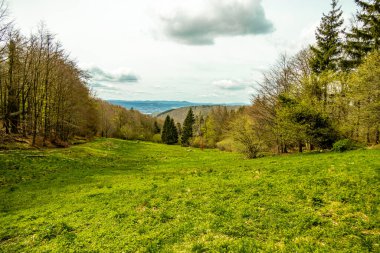 Bad Liebenstein 'dan Rennsteig' e kısa bir yürüyüş turu, muhteşem güneş ışığı altında Altenstein Park 'taki bahar uyanışı da dahil - Thüringen - Almanya