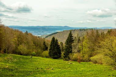 A short hiking tour from Bad Liebenstein to the Rennsteig, including the spring awakening in Altenstein Park in glorious sunshine - Thuringia - Germany clipart