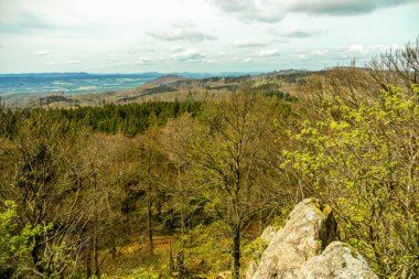 Bad Liebenstein 'dan Rennsteig' e kısa bir yürüyüş turu, muhteşem güneş ışığı altında Altenstein Park 'taki bahar uyanışı da dahil - Thüringen - Almanya