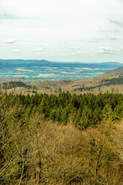 Bad Liebenstein 'dan Rennsteig' e kısa bir yürüyüş turu, muhteşem güneş ışığı altında Altenstein Park 'taki bahar uyanışı da dahil - Thüringen - Almanya