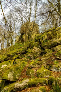 Bad Liebenstein 'dan Rennsteig' e kısa bir yürüyüş turu, muhteşem güneş ışığı altında Altenstein Park 'taki bahar uyanışı da dahil - Thüringen - Almanya