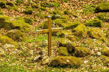 Bad Liebenstein 'dan Rennsteig' e kısa bir yürüyüş turu, muhteşem güneş ışığı altında Altenstein Park 'taki bahar uyanışı da dahil - Thüringen - Almanya