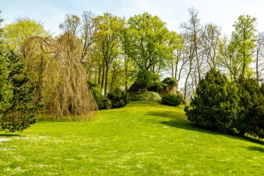 Bad Liebenstein 'dan Rennsteig' e kısa bir yürüyüş turu, muhteşem güneş ışığı altında Altenstein Park 'taki bahar uyanışı da dahil - Thüringen - Almanya