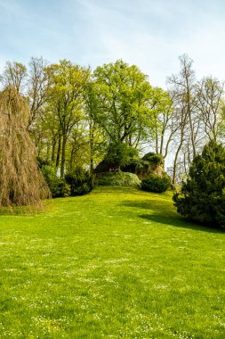 Bad Liebenstein 'dan Rennsteig' e kısa bir yürüyüş turu, muhteşem güneş ışığı altında Altenstein Park 'taki bahar uyanışı da dahil - Thüringen - Almanya