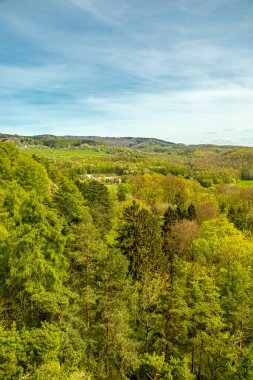 Bad Liebenstein 'dan Rennsteig' e kısa bir yürüyüş turu, muhteşem güneş ışığı altında Altenstein Park 'taki bahar uyanışı da dahil - Thüringen - Almanya