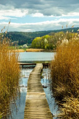 Breitungen göllerinde bahar yürüyüşü harika bir güneş ışığı altında - Thüringen - Almanya