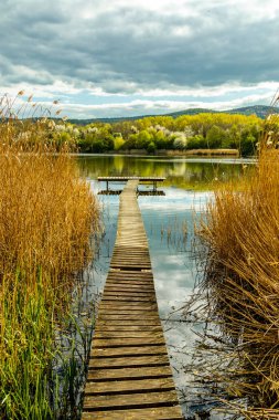 Breitungen göllerinde bahar yürüyüşü harika bir güneş ışığı altında - Thüringen - Almanya