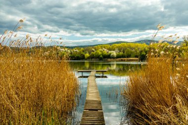 Breitungen göllerinde bahar yürüyüşü harika bir güneş ışığı altında - Thüringen - Almanya